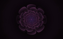 2014 05 08 Calm Before 51-black.jpg